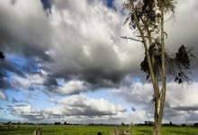 PG世界杯2026-赛道风云，阿斯顿马丁的崛起与勒克莱尔的火热状态